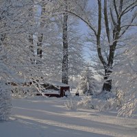 Люблю зиму за белый цвет.. :: Татьян@ Ивановна