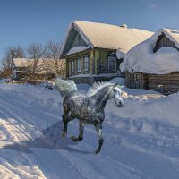 Серый в яблоках конь. :: Aleksey Afonin
