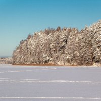 Один день из жизни зимнего леса :: Svetlana Komarova