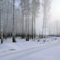 Зимнее туманное утро :: Василий Колобзаров