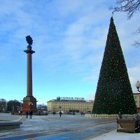 Последние дни новогодней елки :: Сергей Карачин