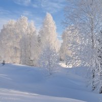 Синий иней :: Василий Колобзаров