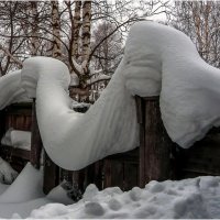 Снежные зигзаги. После метели. :: Валентин Кузьмин