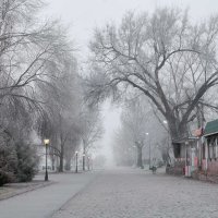 Утренний туман :: Константин Бобинский