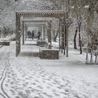 Снегопад :: Игорь Протасов