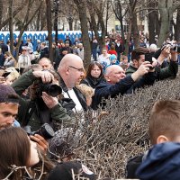 фото-обстрел :: Олег Лукьянов