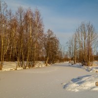 Морозный день Января 2023 # 03 :: Андрей Дворников
