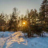 Мороз и Солнце Января # 05 :: Андрей Дворников