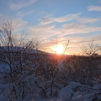 Январское солнце :: Мария Васильева