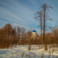 Морозный день Января 2023 # 04 :: Андрей Дворников