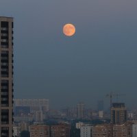 Луна над городом :: Евгений Седов