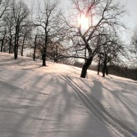 Лыжные прогулки по целине.. :: Андрей Заломленков (настоящий) 