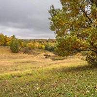 Октябрь в Царицыно... :: Владимир Жданов