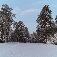 Накануне февраля... :: Оксана Галлямова