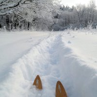 Февраль - это 28 шагов до весны.. :: Андрей Заломленков (настоящий) 