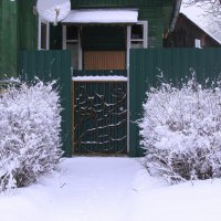После снегопада :: Людмила Смородинская