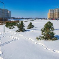 Ростовские зарисовки :: Александр Гапоненко