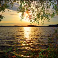 Рассвет на озере. :: Ольга Митрофанова