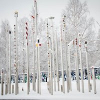 Петрозаводск зимний... :: Елена Митряйкина