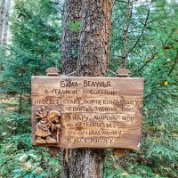 Табличка в лесу :: Юля Жуковская