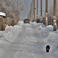 За городом  зима. :: Венера Чуйкова