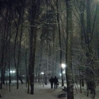 Прогулка под снегопадом :: Анна Воробьева