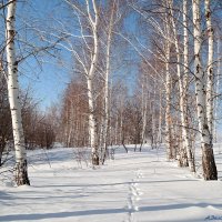 Сок будет через 60 дней..) :: Андрей Заломленков (настоящий) 