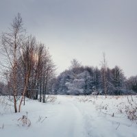 Зимний пейзаж :: Дмитрий 