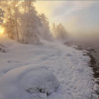 Мороз и солнце 2... :: Владимир Чикота 
