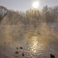 Классная прогулка :: Анастасия Северюхина