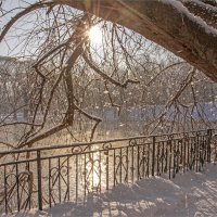 Снежок порхает, кружится :: Анастасия Северюхина