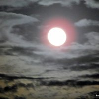 Луна и облака. :: Валерьян Запорожченко