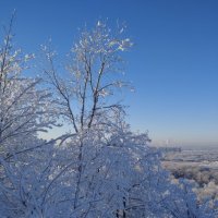 Ой мороз, мороз... :: Павел Петров