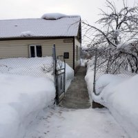 Февральские снегопады . :: Мила Бовкун