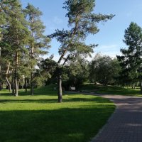 Лето в парке :: Наталья Катульская