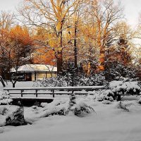 Японский сад зимой :: Вера 