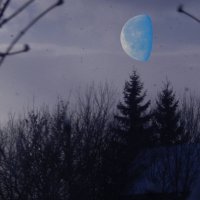 голубая Луна :: Alisa Koteva 