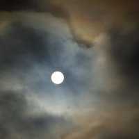 Загадка: луна, или солнце ? :: Юрий Куликов