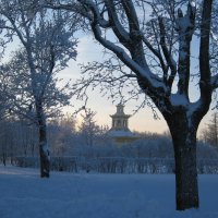 Зима — время передышки, когда все Божьи создания отдыхают, восстанавливаются и готовятся к весне... :: Tatiana Markova