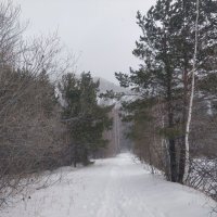 В снегах Каркаралов :: Андрей Хлопонин