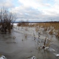 На Лахте в зимнюю оттепель :: AleksSPb Лесниченко