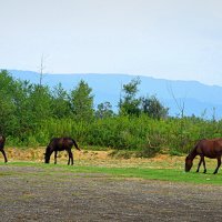 В горах :: Татьяна Лютаева