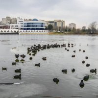 Скоро весна :: Игорь Протасов