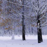 Первая зима :: Владимир Максимов