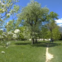 Весна в ботаническом  саду,Симферополь :: Валентин Семчишин