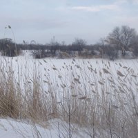 Зимнее озеро :: Андрей Хлопонин