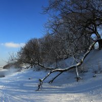 Москва-река. :: Александр Сергеевич 