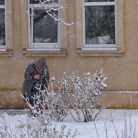 Надо убирать снег :: Юрий Гайворонский