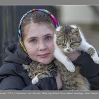 Монастырские коты (из серии). :: Николай Андреев