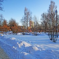 Парк "Сад будущего" в Москве :: Ольга Довженко